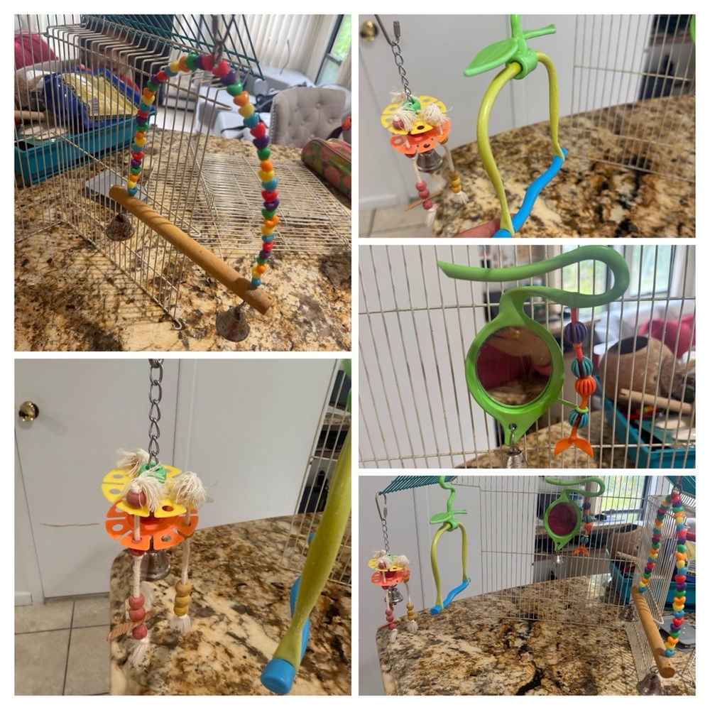 Colorful Hanging Bird Toy Set with Mirror